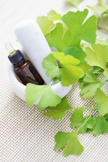 Ginkgo biloba essential oil